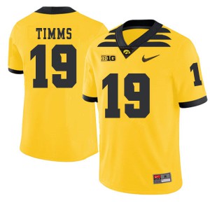 Men's Iowa #19 Mike Timms Gold 2019 Alternate Official Jerseys 378109-544