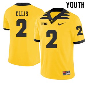Youth University of Iowa #2 Mick Ellis Gold 2019 Alternate University Jerseys 622364-232