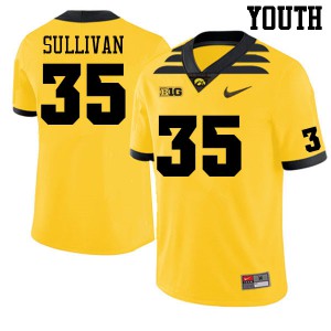 Youth Hawkeyes #35 Justice Sullivan Gold Alumni Jersey 353487-292