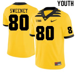 Youth University of Iowa #80 Brennan Sweeney Gold Stitch Jersey 232191-954